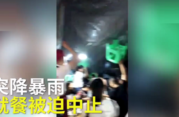 没吃高兴不要钱 大排档老板免单3万多被点赞