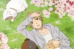 Ŀʾ糡Ԥ湫 Ŀʡ̨ʾѡ