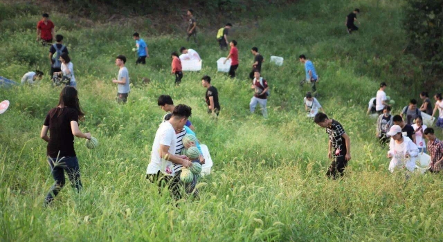 大学不种地不让毕业 校方：培养学生吃苦耐劳精神