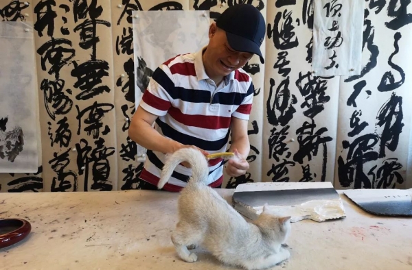 崔永元就风波向范冰冰致歉 称天6千万片酬与她无关