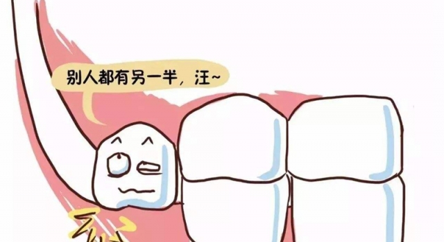 你的智齿需要拔吗 长了智齿怎么办