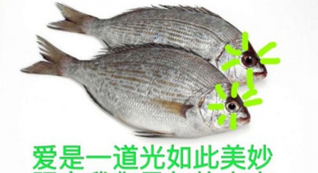 诡异的光一周年 巩高峰作品《一种美味》原文回顾