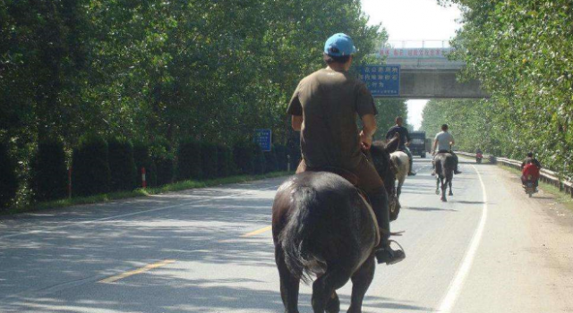 模仿网红骑马当街摔晕  很好的诠释了什么叫“扑街”