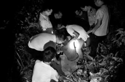 ���ӱ���Ұ������ ������30��Ұ���С�����������