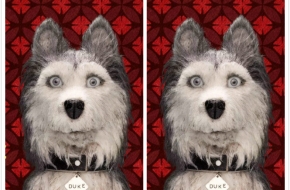 犬之岛影评 鬼才导演韦斯力作到底是温暖还是黑暗童话?