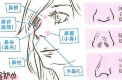 ݵ仯 Ůľ治ֻһ˫Ƥ