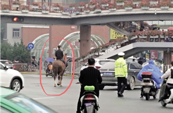 小伙骑马街头闲逛是怎么回事?闹市内骑马到底合不合法?