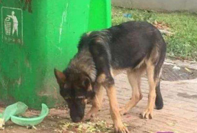 ��Ȯ������ �򸾶��˺��ľ�����ô����͵�����ҲƲ�