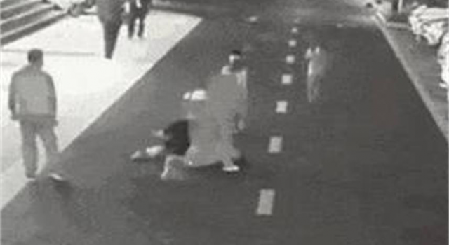杭州狗主人被刑拘事件始末 嫌疑人公共场所殴打妇女