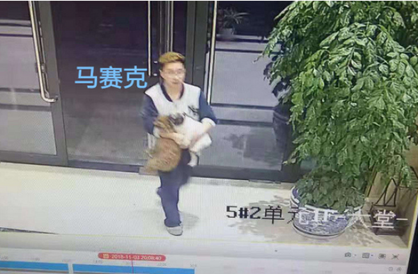 杭州狗主人被刑拘怎么回事？遛狗不牵绳还有理打人？