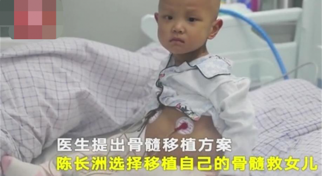 父亲抽自己骨髓救白血病女儿 女儿是父亲的小棉袄