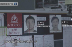 �ӷ�����Ϸ��¶��ô���£��ƻ��������ȴ������Ϸ�ϣ�