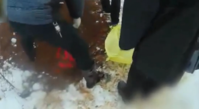 女童遭继父埋尸怎么回事？对幼童下手你的良心不会痛？