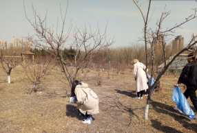 10֮