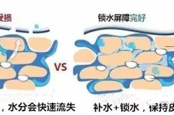 Բˮ𣿼Ӧʲôˮ
