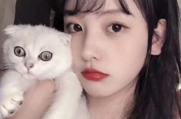 女生这样回你微信  不用怀疑  她已经爱上你了