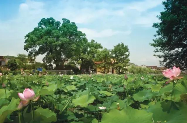 杭州旅游指南 这三个地方必须去 你绝对没有见过