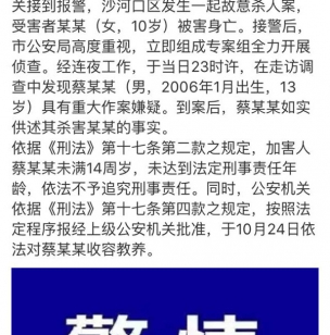 大连杀人男孩被收容三年 已是最严处罚 网友：改变法律