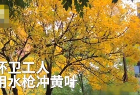 �������ø�ѹˮǹ���Ҷ �쵼Ҫ��û��Ҷ ���ѣ��Լ�ɨ