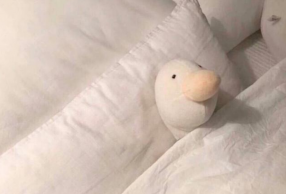 ʺϵԵľ Ψ Ͻղص