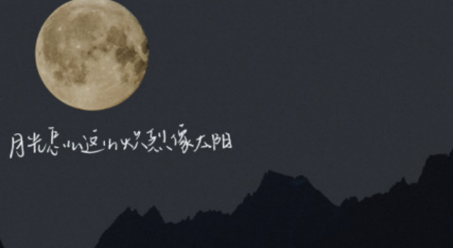 抖音经典文案大全 这些句子一眼就爱上了