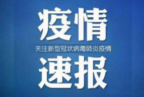 ȷﲡ켣 Ǽмɪɪ