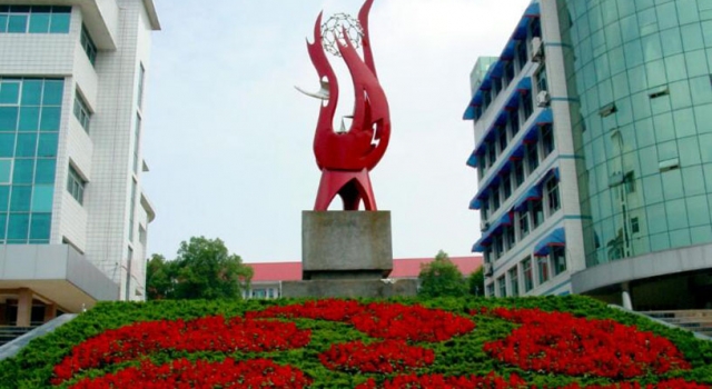 湖北襄阳学校增设健康副校长 网友：希望不是个摆设