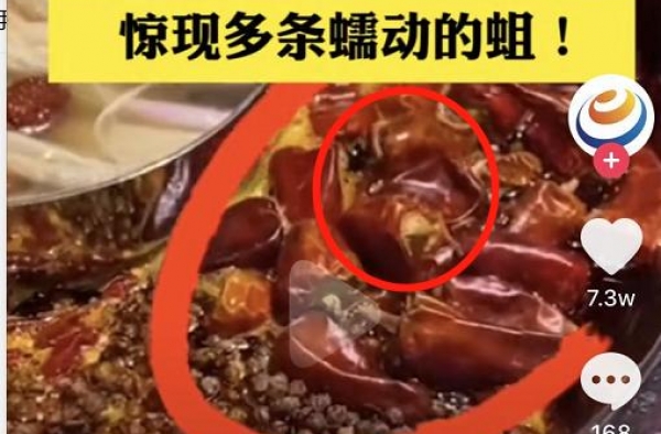陈赫火锅店贤合庄惊现蠕动蛆和防腐剂？本尊回应：完全是恶意杜撰