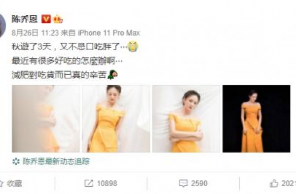 陈乔恩演出小腹微凸引争议 委屈发文承认
