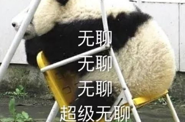 豪门千金秘密产下双胞胎，孩子他爸还是对家集团的私生子
