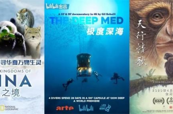 攻关自然品类，B站纪录片再出海
