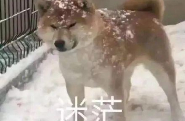 “快，快塞回去…”电视剧里的迷惑行为有多沙雕，哈哈哈哈