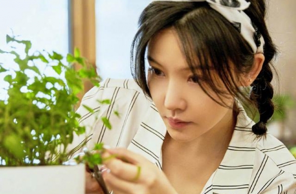杨子姗上《做家务的男人》，因洁癖症崩溃，网友：那就别接节目