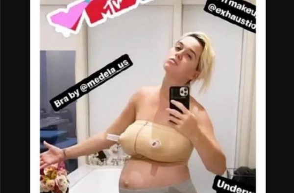 国外女星产后晒照，被指垮肉好恶心，似催乳的母猪，宝妈：太真实