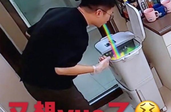 原来杨迪这套上海豪宅是租的，大平层简装，一平16万确实买不起