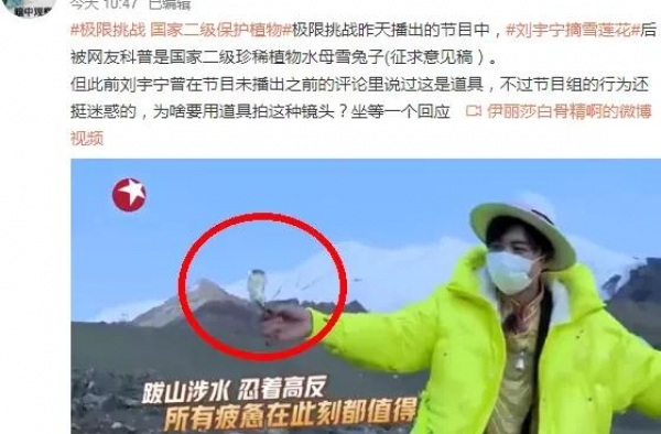 刘宇宁涉嫌违法，摘“雪莲花”登热搜，粉丝声讨东方卫视尽快回应