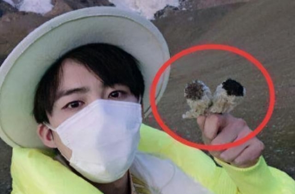 刘宇宁、岳云鹏采摘国家二级植物引热议，节目致歉，网友：好棒