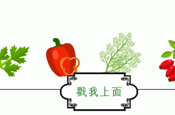 新闻联播主持人再添新成员！首位80后主播闪亮登场