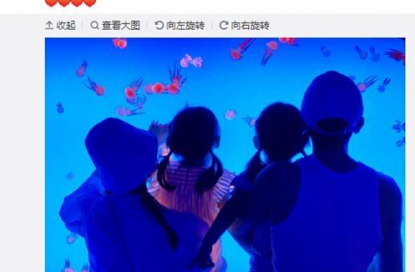 张杰晒四口合照庆纪念日 双胞胎姐妹可爱惹人爱