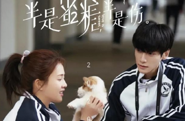 《半是蜜糖半是伤》热播，白鹿又一部新剧待播，古装扮相太美了