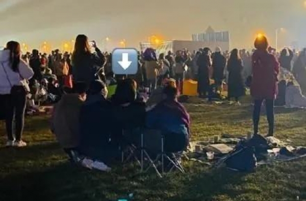王菲音乐节上蹦丢手机，网友：失而复得的表情跟我们一模一样