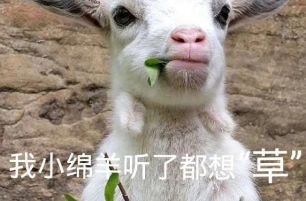 古装剧最出彩吸粉的男角色，成毅司凤，上榜你被谁击中了小心脏