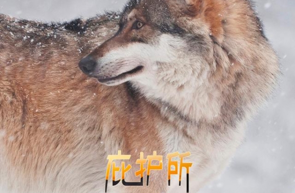 今年看到最动人的一幕，是这两位母亲的对视