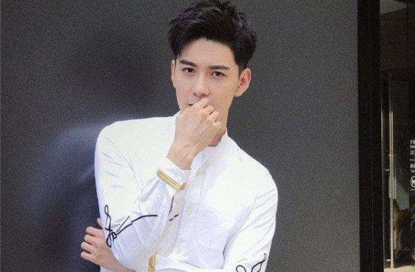 郑爽、胡歌、佟丽娅、成毅、黄奕、张予曦、陈星旭、陈情令、李现