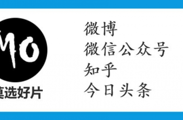 这牛，闪闪的好莱坞新片请千万别错过