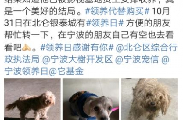 尔冬升导演在北仑的这一举动，真暖心
