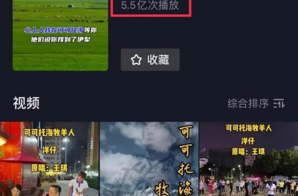 可可托海的牧羊人：王琪亚男没火，洋仔对口型火了？背后故事感人