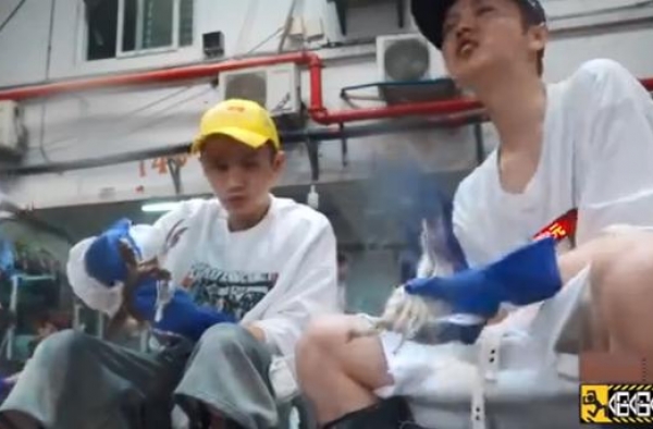 鹿晗绑螃蟹两次被夹，戴手套仍被夹伤，拼命咬手指挤血避免中毒