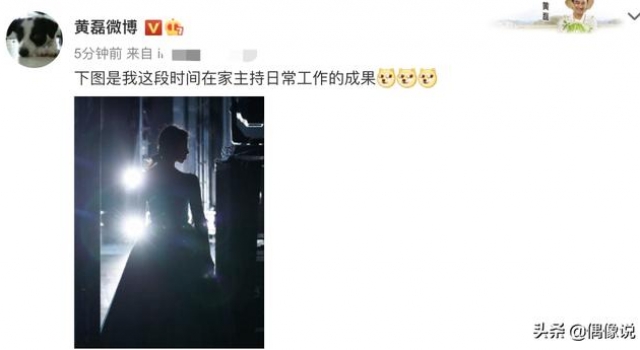 孙莉上国家大剧院演出，黄磊兴奋晒妻子舞台照，却被认成黄多多