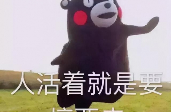 王一博宋茜井柏然杨紫白敬亭谭松韵，近期开机新剧最期待哪部？